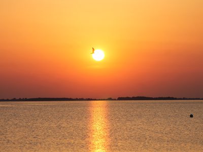 Schöner Sonnenuntergang